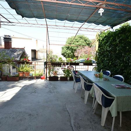 Apartment Maria Primosten Exterior photo
